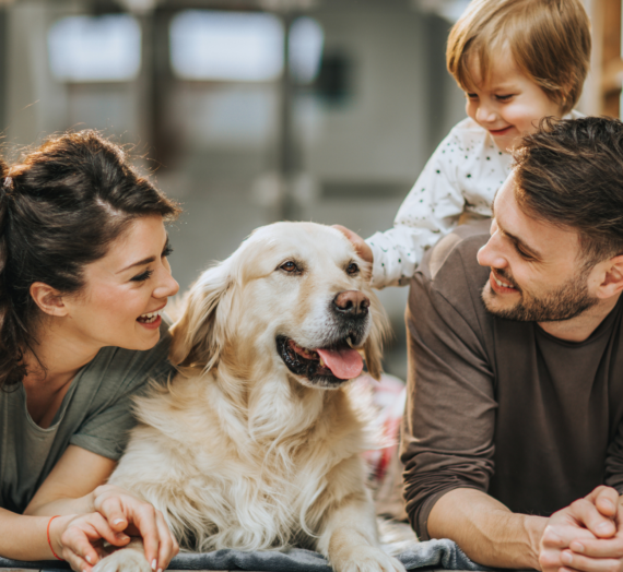 How to Choose the Right Pet for Your Family: Essential Tips for Every Household