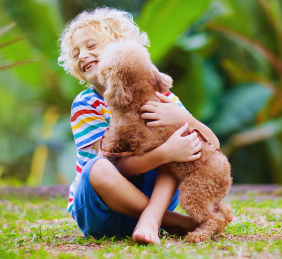 The Best Ways to Care for Pets with Young Children Around: Tips for a Safe and Happy Home